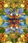Flower and leaf design abstract. (AI Generated) Art Print